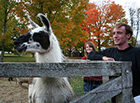 llama and students