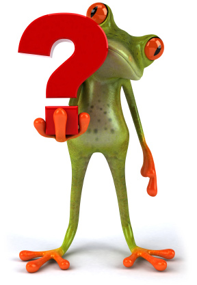 frog 404