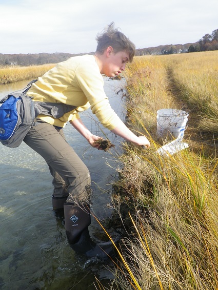 "Field Work" Photo by Emily Waters 09F