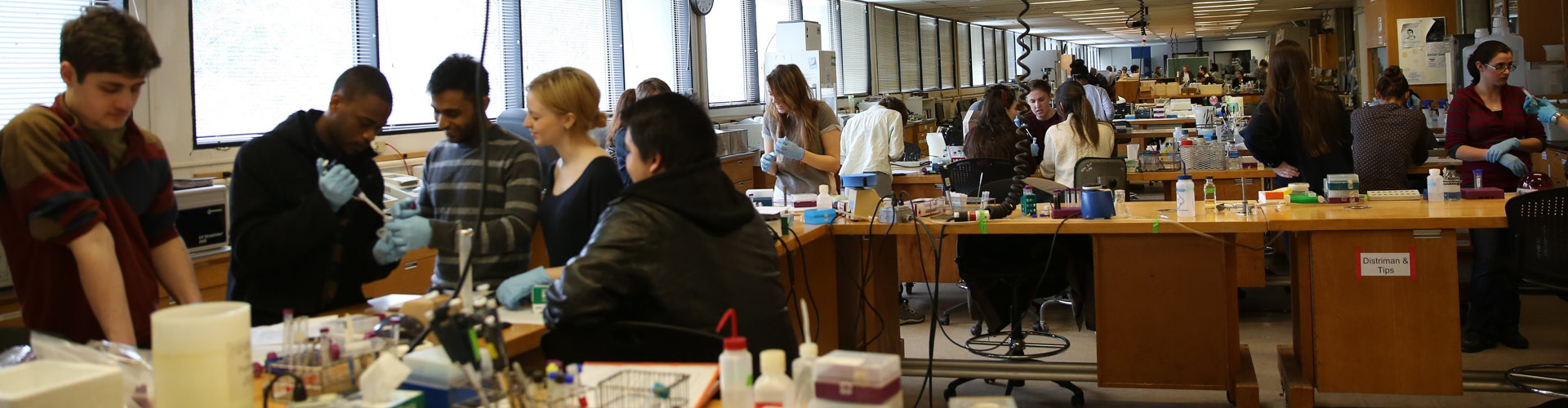 Hampshire College Students Working in a Science Lab