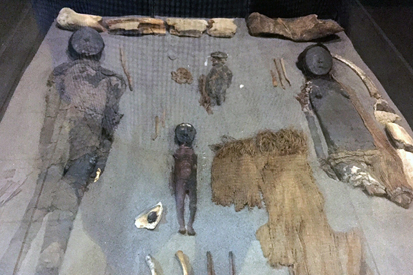 Mummies Studied by Professor Dula Amarasiriwardena 