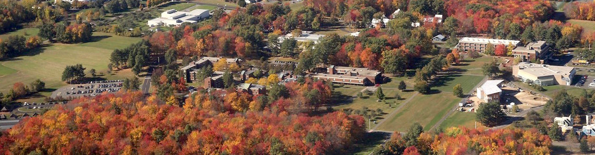 Statement and Apology to Antonia Okafor on Hampshire College's Decision