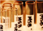 Hampshire College has been awarded a $120,000 National Science Foundation grant for acquisition of a laser ablation chemistry system