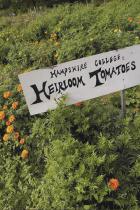 Pick-Your-Own Tomatoes Pick-Your-Own Tomatoes