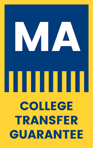 Mass Transfer Logo