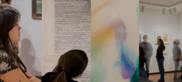 Collage of people viewing artwork 