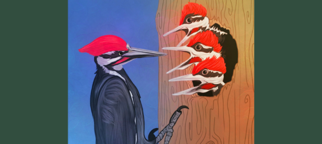 Artwork featuring a woodpecker looking at three smaller woodpeckers in a hole in a tree.