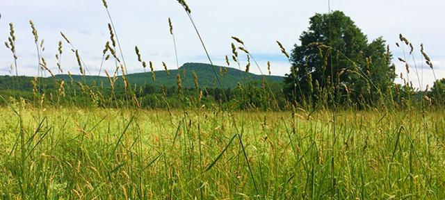 hampshire college campus 2019