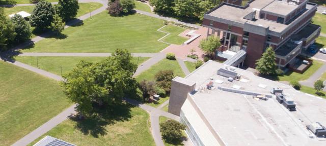 Campus in summer aerial view