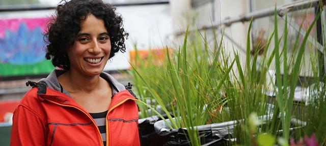 Assistant Professor of Ecosystem Ecology Seeta Sistla Assistant Professor of Ecosystem Ecology Seeta Sistla