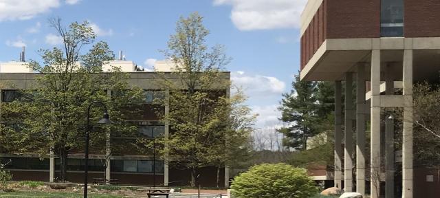 the center of campus, as seen in spring, with blue sky and green grass