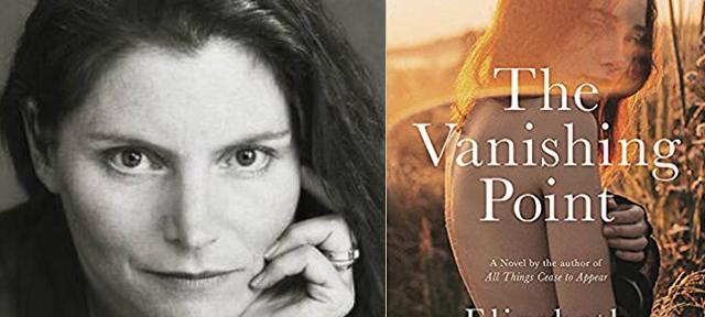The Vanishing Point by Elizabeth Brundage