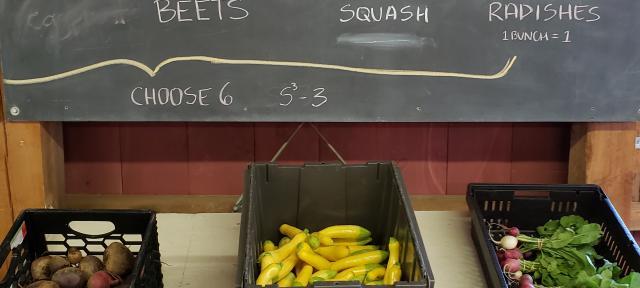 Bins of vegetables