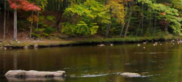 scenic water scene