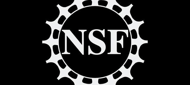 National Science Foundation Logo National Science Foundation Logo