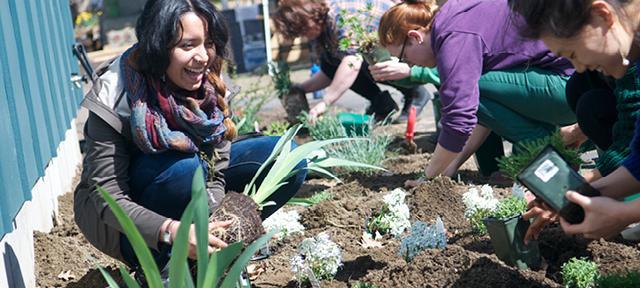 A $200,000 grant from the Roddenberry Foundation will challenge Hampshire College’s teachers and students to find interdisciplinary solutions to climate change, sustainability, resilience, and social justice 