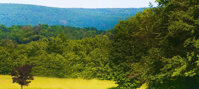 Hampshire College campus 2019