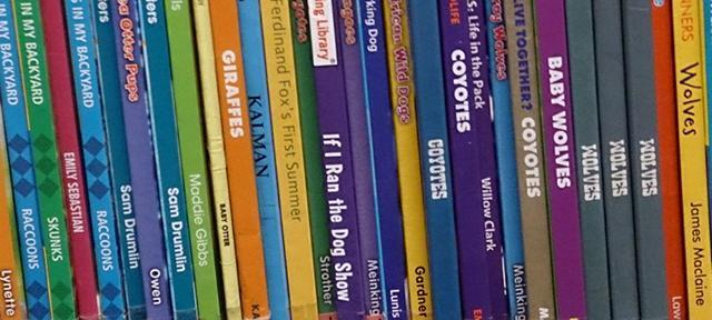 children's Literature children's Literature