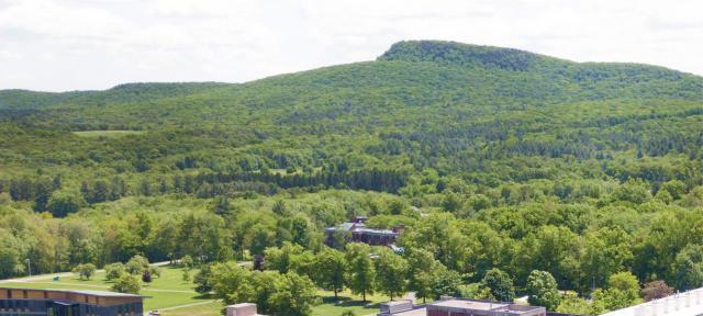 Hampshire College campus