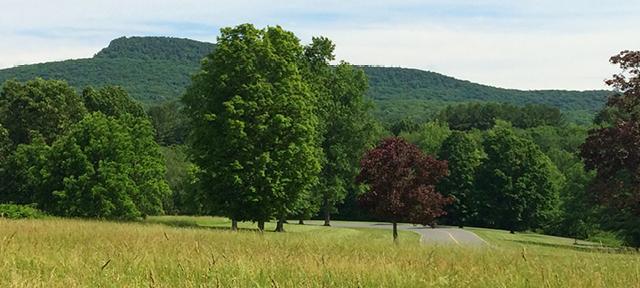 hampshire College campus 2019