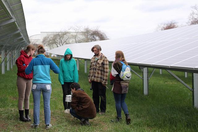 Students researching ecology of solar-array fields