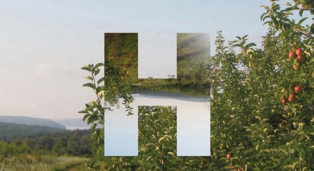 H graphic and apple orchard