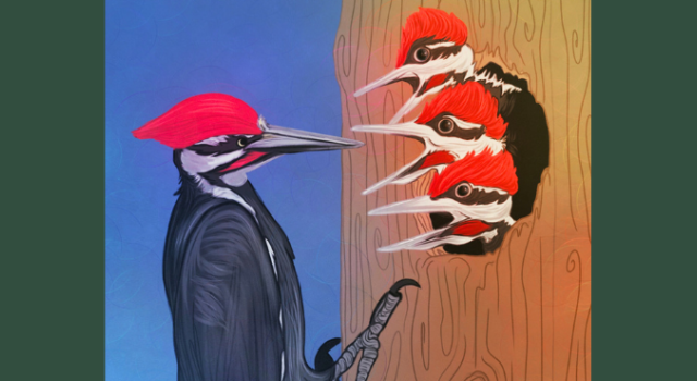 Artwork featuring a woodpecker looking at three smaller woodpeckers in a hole in a tree.