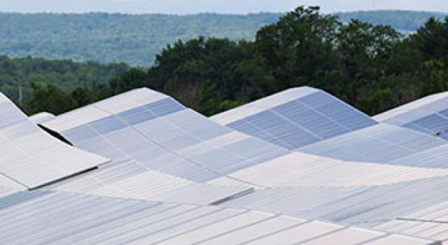 Field of solar panels