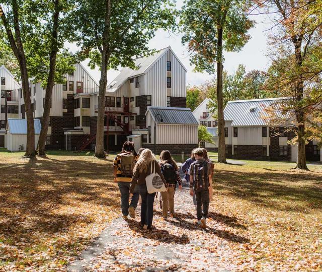 Students walking in the fall on campus.