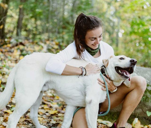 Student and dog play together in nature.