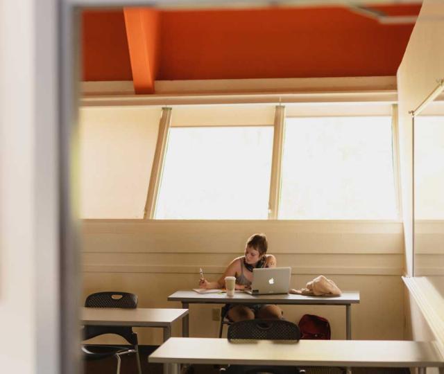 Student working at a table with a sunlit window behind them.