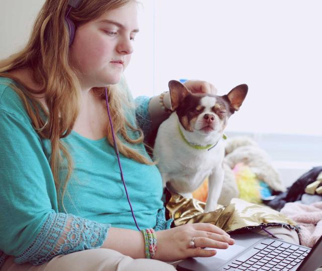 Student with service animal working on a laptop.