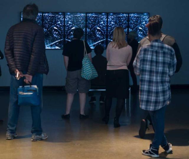 Installation view of the artist Madeleine Altman at the Hampshire College Art Gallery. A group of visitors watch a multimedia work on a composition of six flatscreens in a darkened gallery.