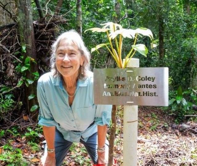 A person in a blue top smiling and standing outside among trees by a sign that reads "Phyllis D. Coley formerly/antes Am. Mus. Nat. Hist."