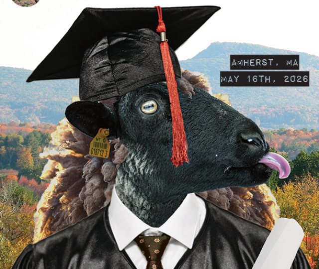2026 Commencement Poster with black sheep, graduation cap and robe, sticking out tongue and holding rolled diploma