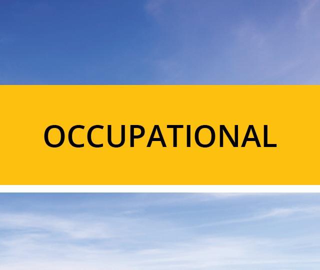 Occupational Wellness