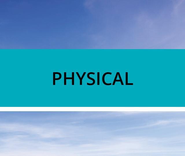Physical Wellness
