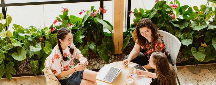 Students studying together in the Kern Center