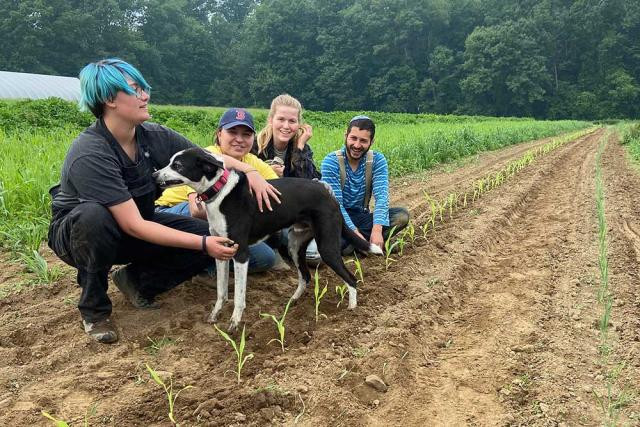 Planting broom corn on the Hampshire College Farm