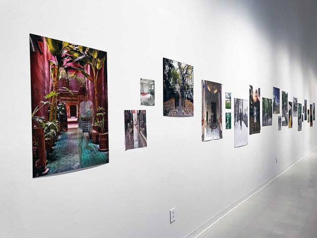 Nicole Cohen photo wall