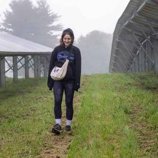 Student walks through solar panel field