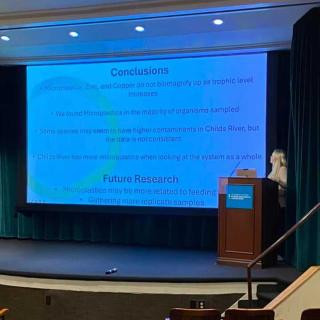 Anneka presenting her findings