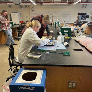Anneka processing samples with her mentor Anne Giblin