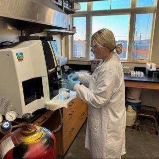 Anneka running her metal samples