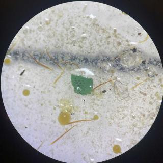 Microplastics sample under the microscope