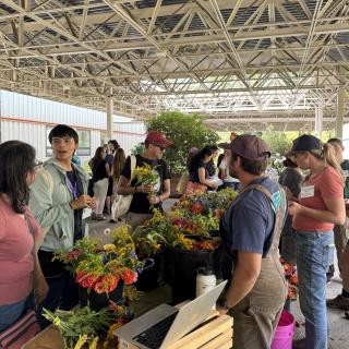 Families under the solar canopy with flowers