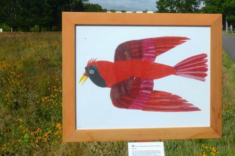 Eric Carle's Red Bird Illustration