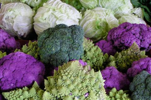 Vegetables from the Hampshire College Farm