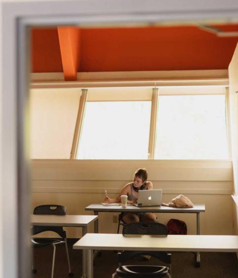 Student working at a table with a sunlit window behind them.