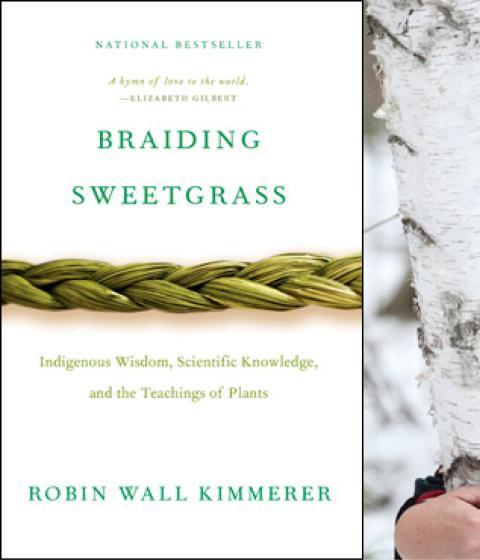 Braiding Sweetgrass and Robin Wall Kimmerer
